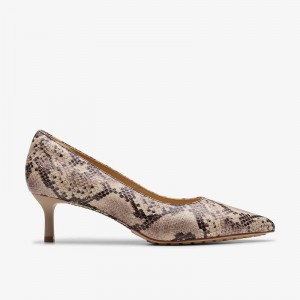 Clarks Adela Court Szare Wąż | CLKS-85018