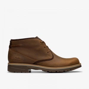 Clarks Morris Peak Brązowe | CLKS-84600