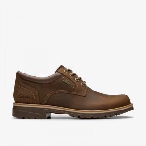 Clarks Morwell Plain Brązowe | CLKS-84330