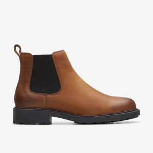 Clarks Orinoco 2 Lane Brązowe | CLKS-85572