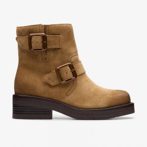 Clarks Rebelle Buckle Brązowe | CLKS-85517