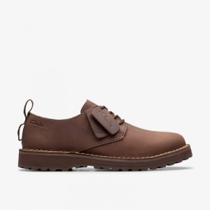 Clarks Solsbury Lace Ciemny Brązowe | CLKS-84326