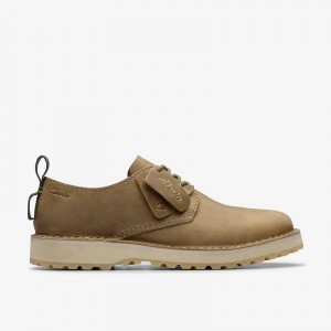 Clarks Solsbury Lace Ciemny Brązowe | CLKS-84325