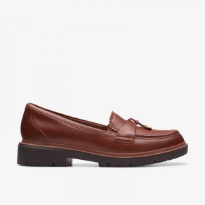 Clarks Westlynn Bella Brązowe | CLKS-84869